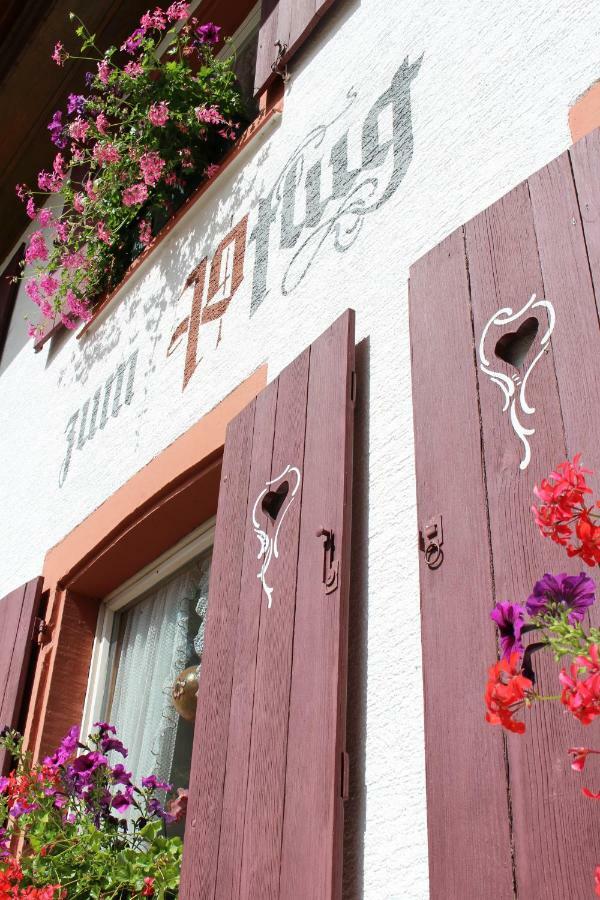 Hotel Landgasthof Zum Pflug Kleines Wiesental Kültér fotó