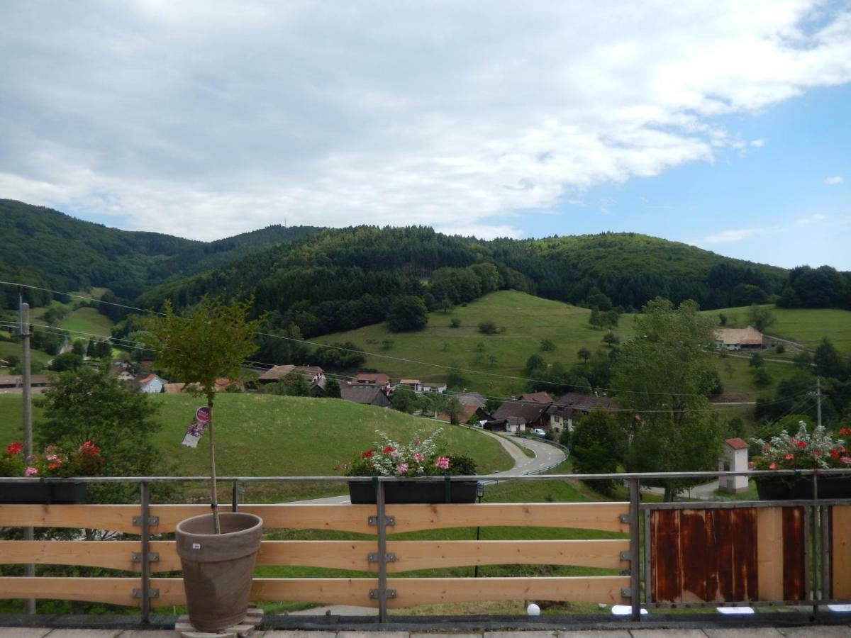 Hotel Landgasthof Zum Pflug Kleines Wiesental Kültér fotó